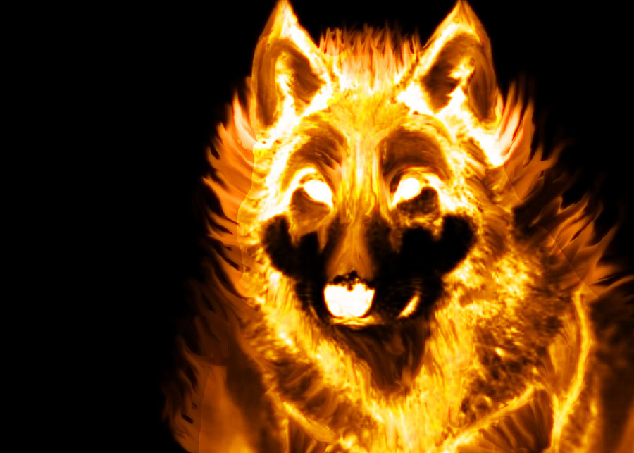 fire_wolf_by_lamar823-d318vx6